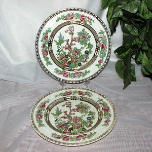 2 Alfred Meakin The India Tree Salad or Luncheon Plates 8" Vintage Hand Tinted